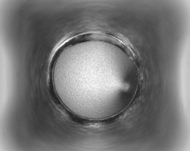 X0000084530344200703161612