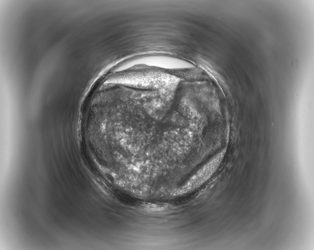 X0000084530346200703161612