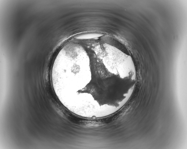 X0000084530347200703161612