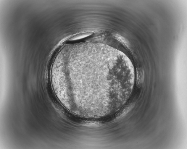 X0000084530348200703161612