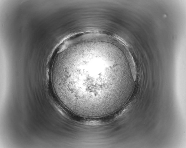 X0000084530350200703161612