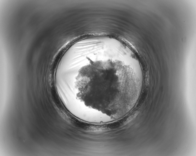 X0000084530351200703161613