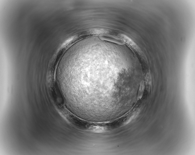 X0000084530352200703161613