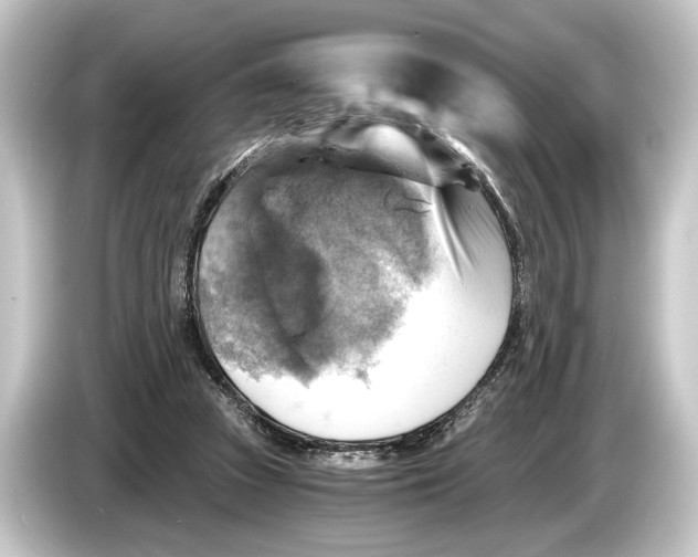 X0000084530353200703161613