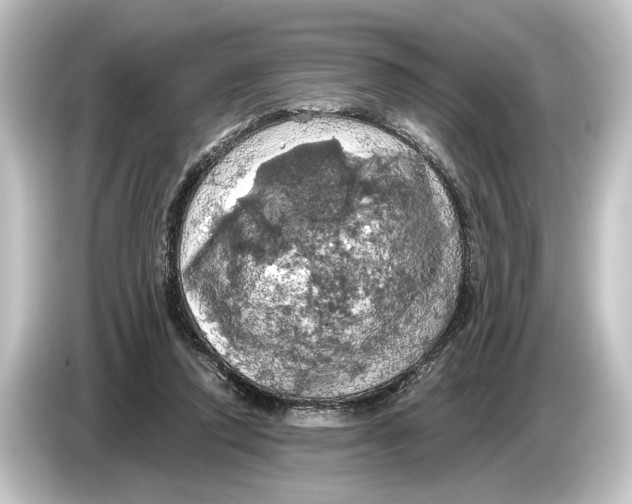 X0000084530354200703161613