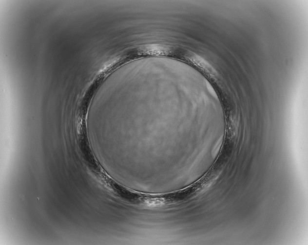 X0000084530355200703161613