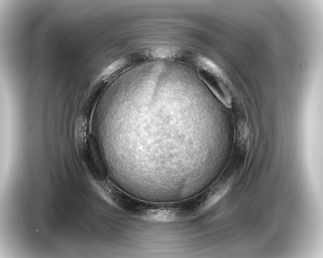 X0000084530356200703161613