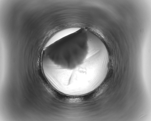 X0000084530357200703161613