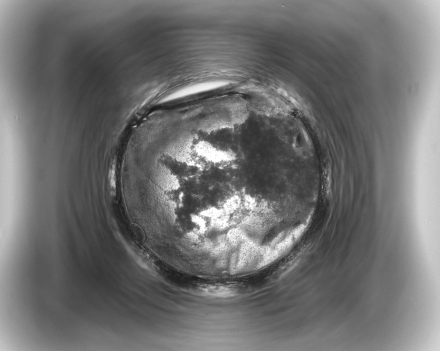 X0000084530358200703161613