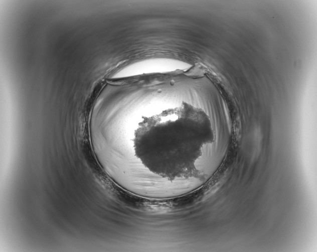 X0000084530359200703161613