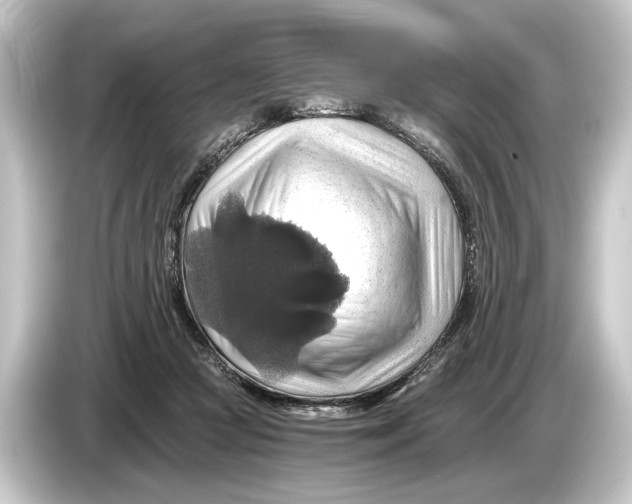 X0000084530361200703161613