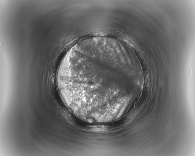 X0000084530363200703161613