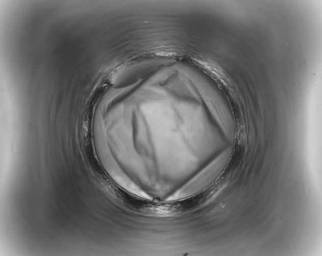 X0000084530365200703161613