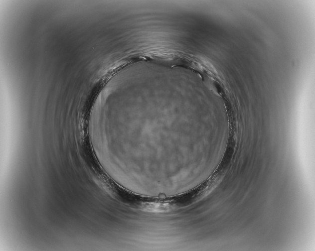 X0000084530366200703161613