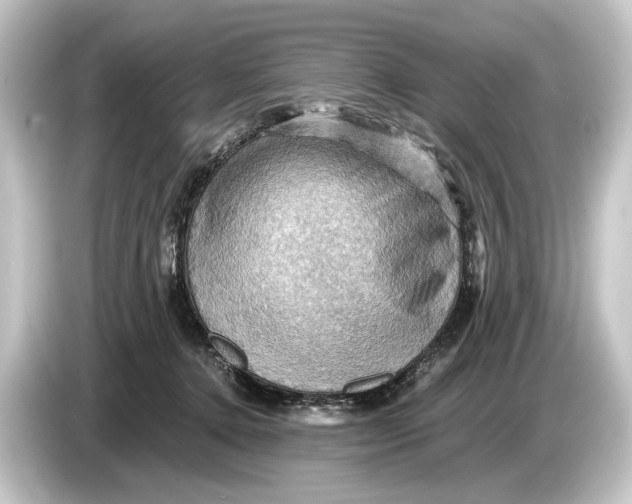 X0000084530368200703161613