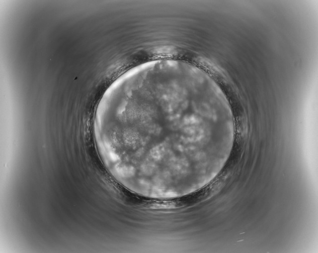 X0000084530369200703161613