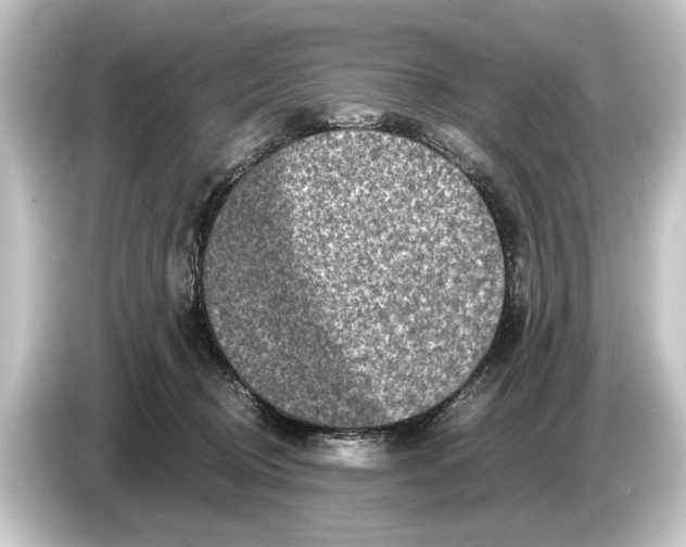 X0000084530370200703161613