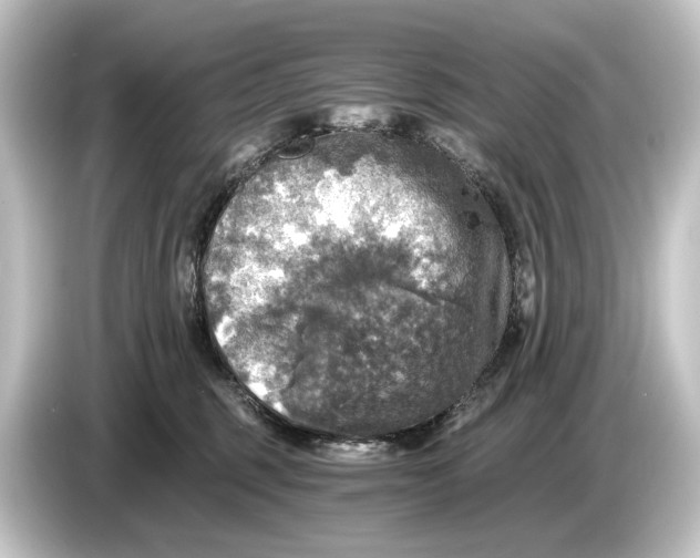 X0000084530375200703161613