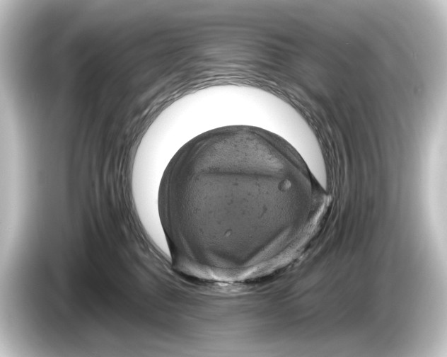 X0000084530376200703161613