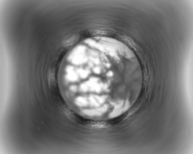 X0000084530377200703161613