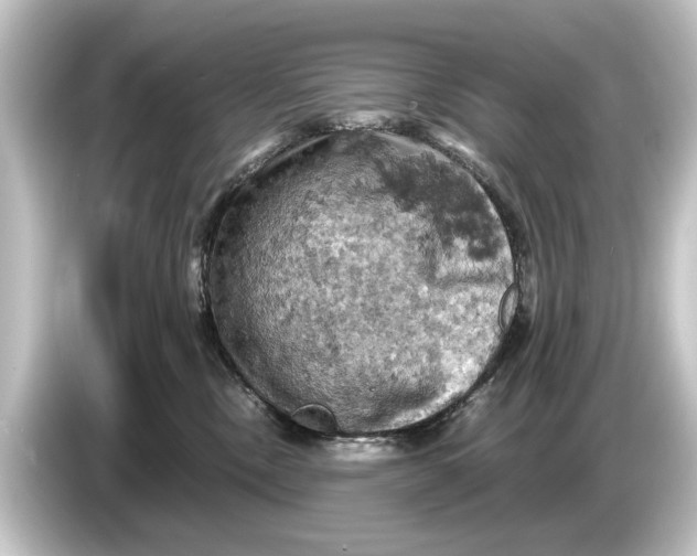 X0000084530378200703161613