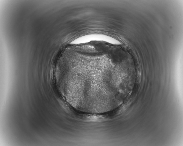 X0000084530379200703161613