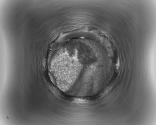 X0000084530380200703161613