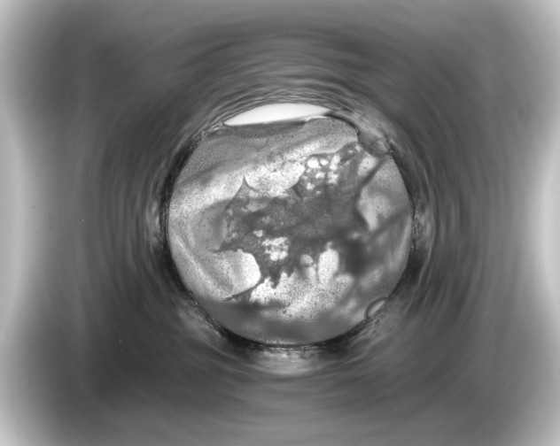 X0000084530381200703161613