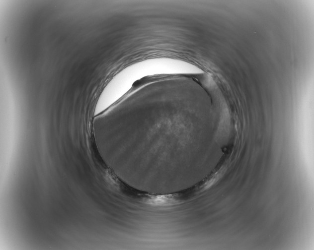 X0000084530382200703161613