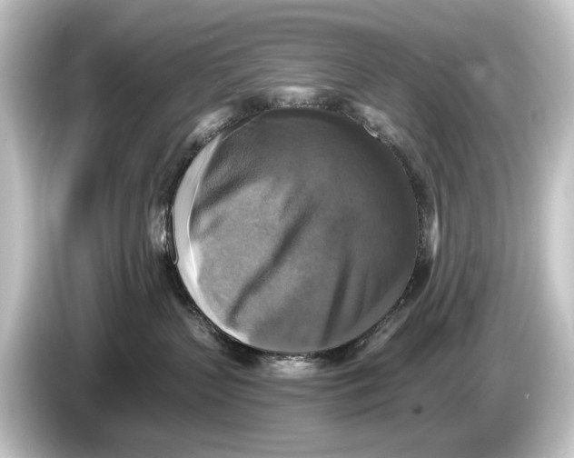 X0000084530383200703161613