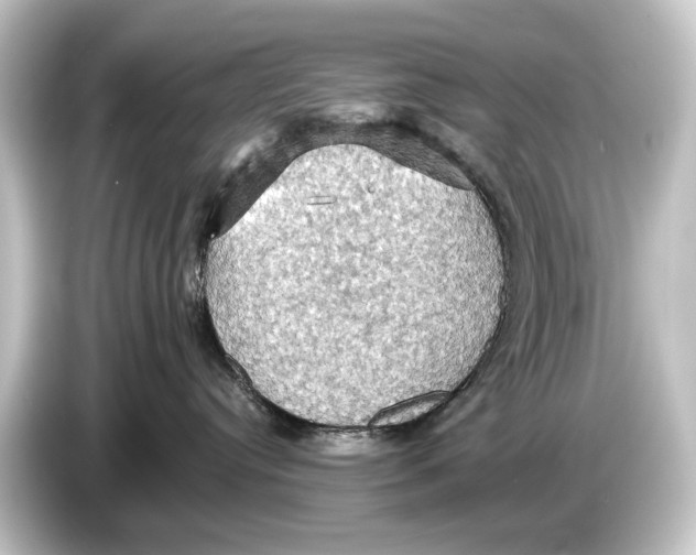 X0000084530384200703161613