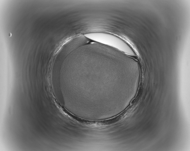 X0000084530385200703161612