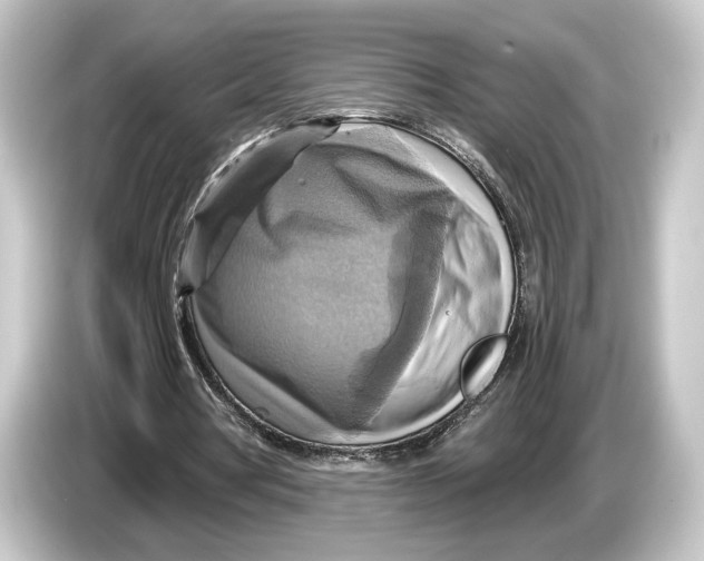 X0000084530386200703161612