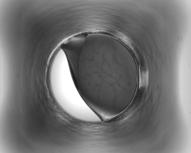 X0000084530387200703161612