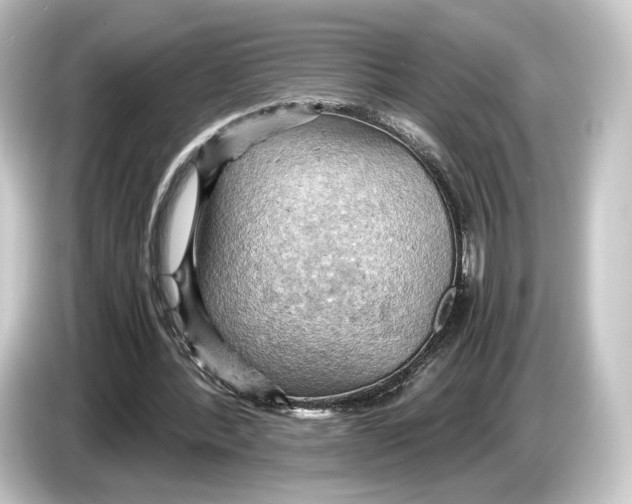 X0000084530388200703161612