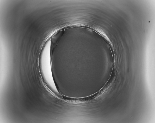 X0000084530389200703161612