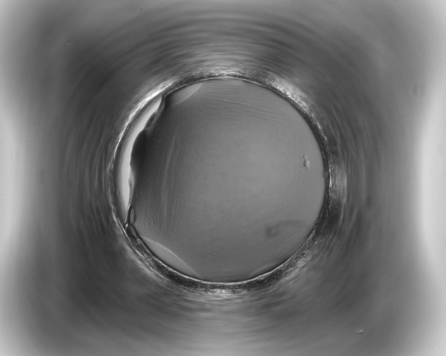 X0000084530390200703161612