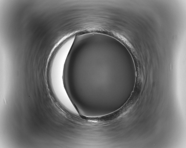 X0000084530391200703161612