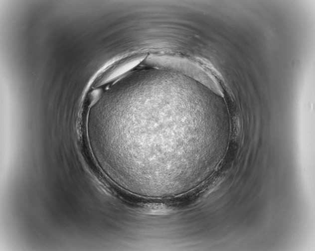 X0000084530392200703161612