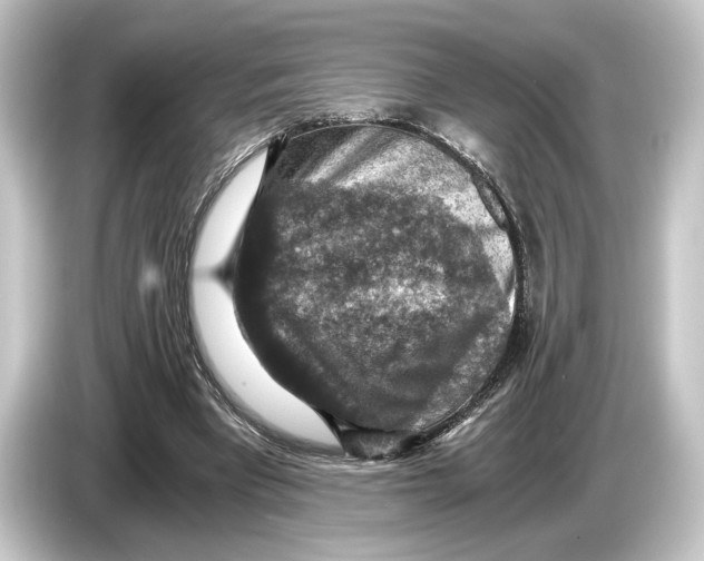 X0000084530393200703161612