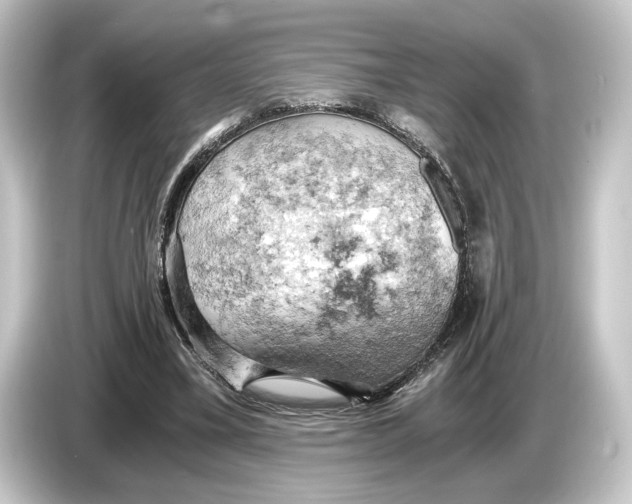 X0000084530395200703161612