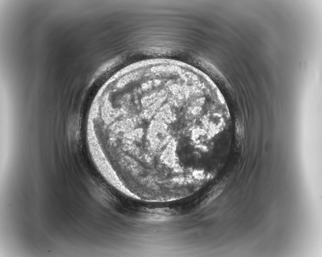 X0000084530396200703161612