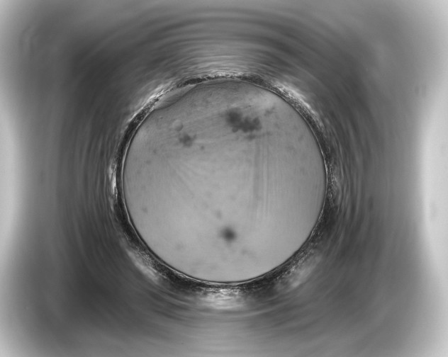 X0000084530398200703161612