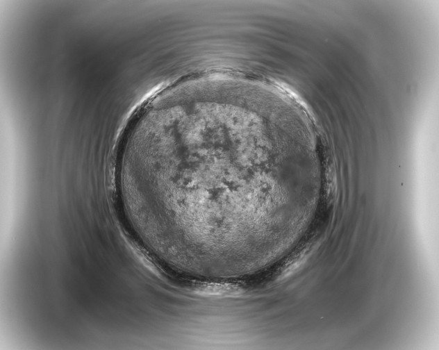 X0000084530399200703161612