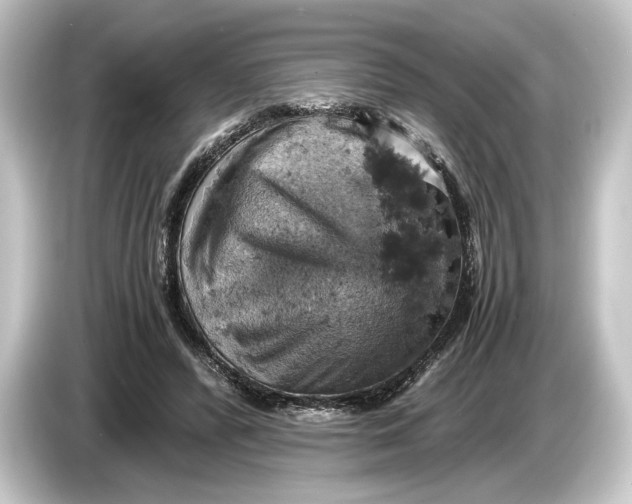 X0000084530400200703161612