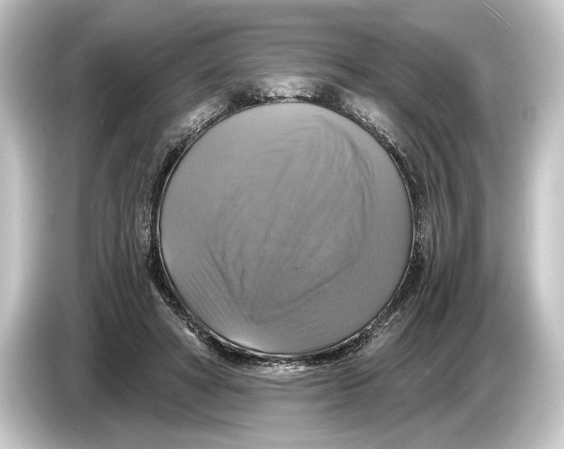 X0000084530402200703161612