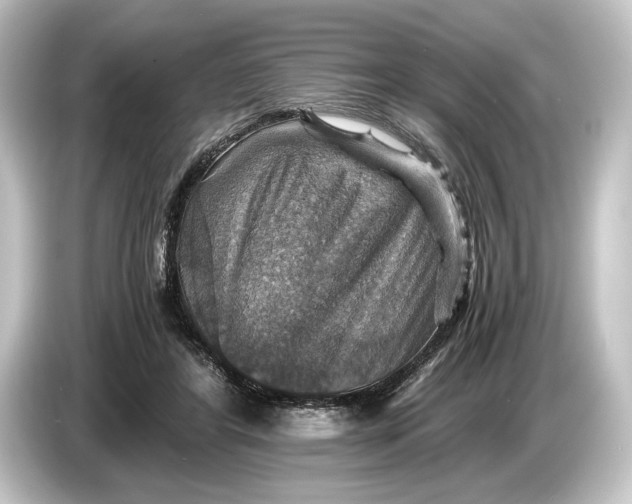 X0000084530404200703161612