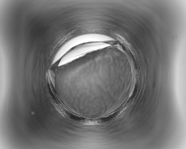 X0000084530405200703161612