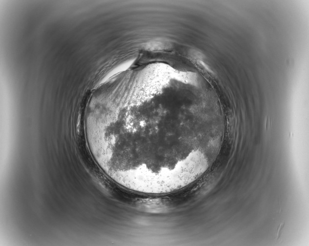 X0000084530406200703161612