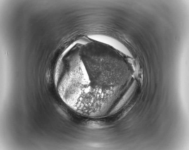 X0000084530408200703161612